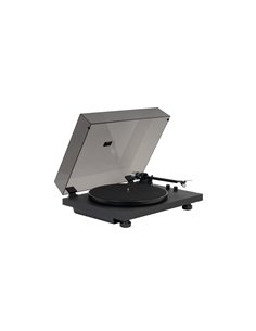 VINYL-13