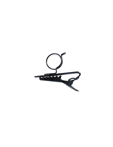 CLIP-2