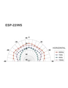 ESP-22/WS