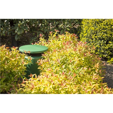 GS530 ALTAVOZ DE JARDIN IPX5 30W 100V 5,25"