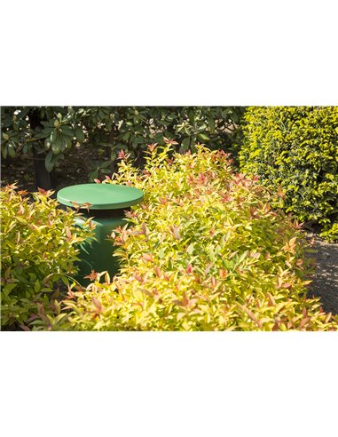 GS530 ALTAVOZ DE JARDIN IPX5 30W 100V 5,25"