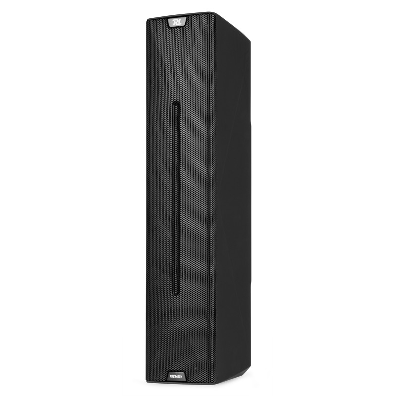 PDCS403V COLUMNA ACÚSTICA 100V NEGRA
