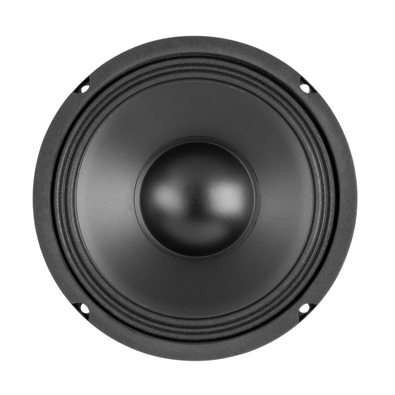 WP16 WOOFER HI-FI CONO PP 16CM 100W