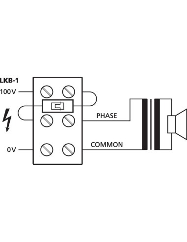 LKB-1