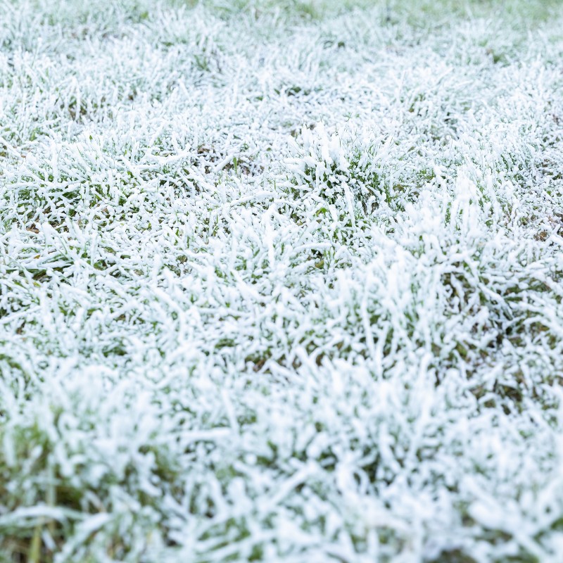 RAGE 1000 MAQUINA DE NIEVE CON MANDO A DISTANCIA