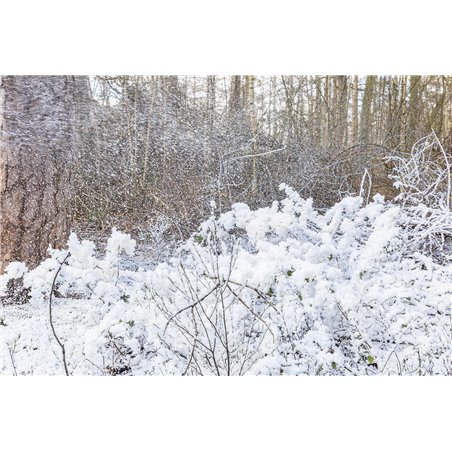 SNOW5000 MAQUINA DE NIEVE DE ALTO VOLUMEN