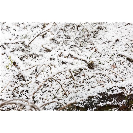 SNOW5000 MAQUINA DE NIEVE DE ALTO VOLUMEN