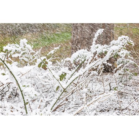 SNOW5000 MAQUINA DE NIEVE DE ALTO VOLUMEN