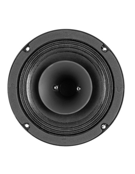 DRIVER DE COMPRESIÓN COAXIAL CCD16 DE 6,5 PULGADAS