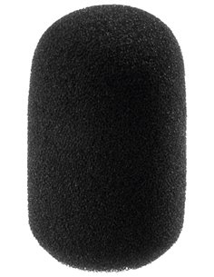 WS-100/SW