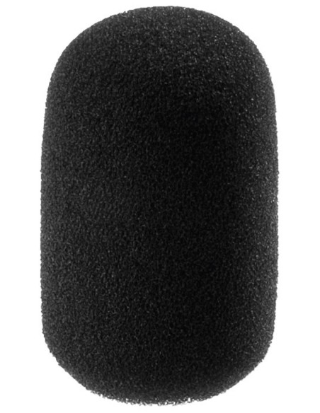 WS-100/SW