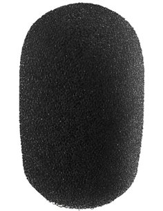 WS-300/SW