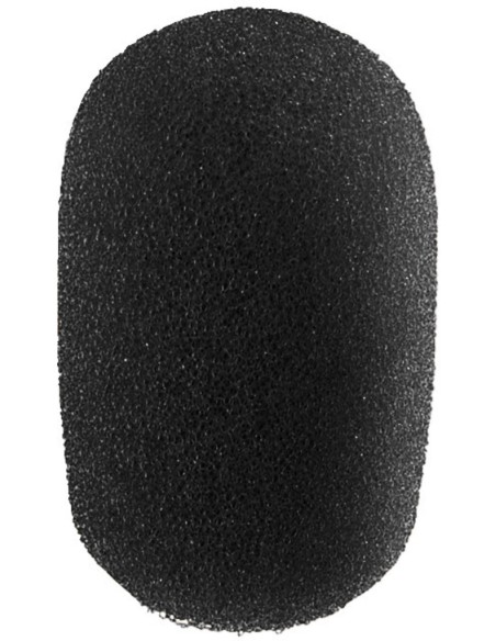 WS-300/SW