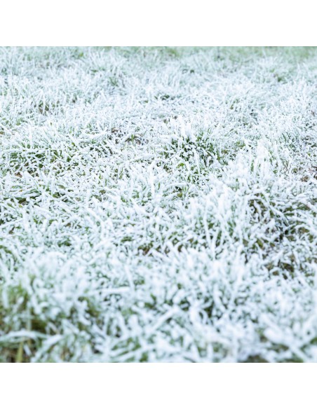 RAGE 1000 MAQUINA DE NIEVE CON MANDO A DISTANCIA