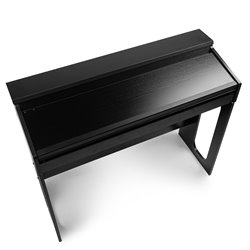 RHAPSODYDP61 PIANO DIGITAL DE 61 TECLAS CON SOPORTE PARA MUEBLE 2