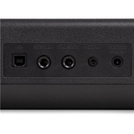 RHAPSODYDP88P PIANO DIGITAL DE 88 TECLAS CON SOPORTE PARA MUEBLE