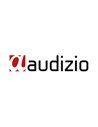 Audizio